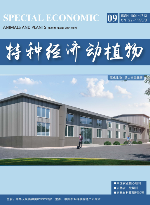 期刊