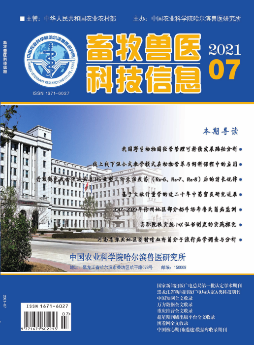 期刊