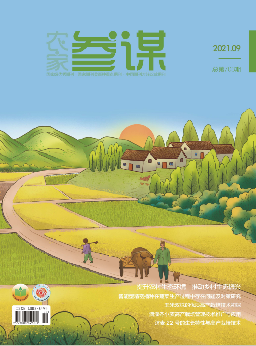 期刊