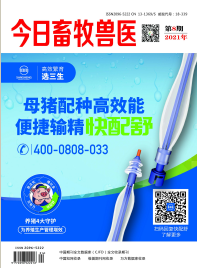 期刊