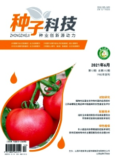 期刊