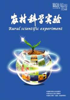 期刊