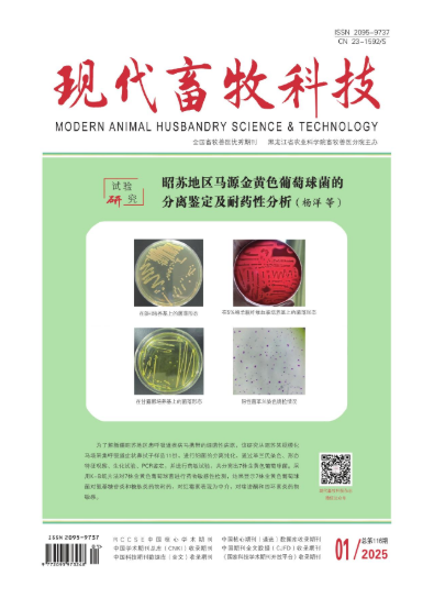 期刊