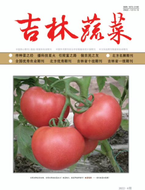 期刊