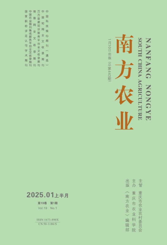 期刊