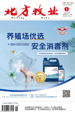 经济会计