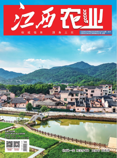 经济会计