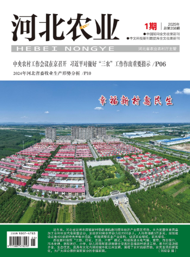 经济会计