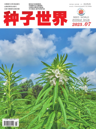 经济会计