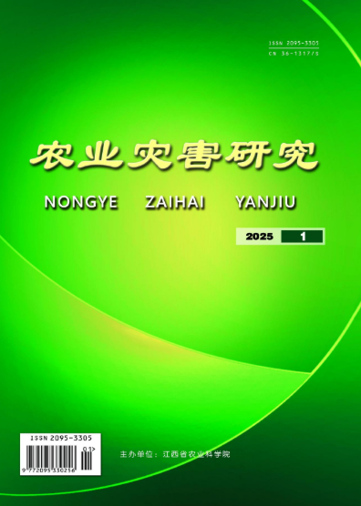 经济会计