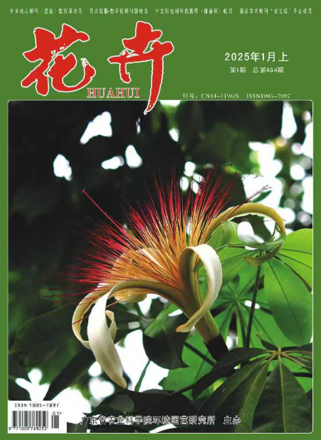 经济会计