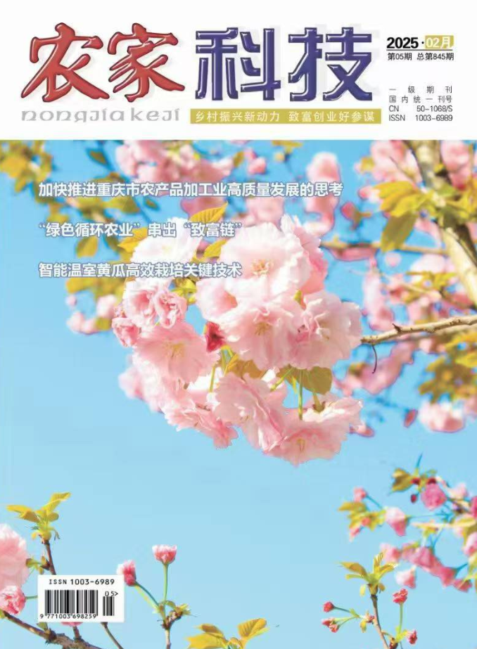 经济会计