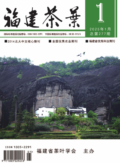 经济会计